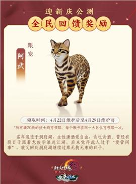 ie跳转天龙八部私服